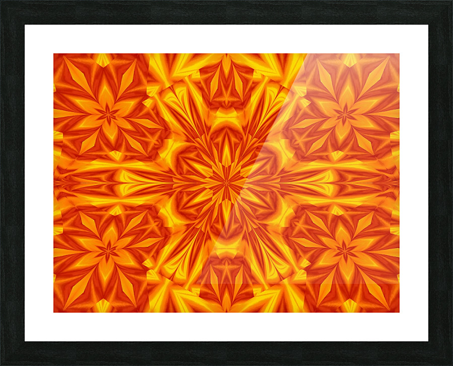 Fire Flowers 32 Picture Frame print