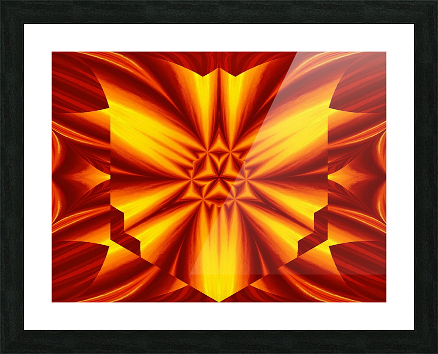 Fire Flowers 33 Picture Frame print
