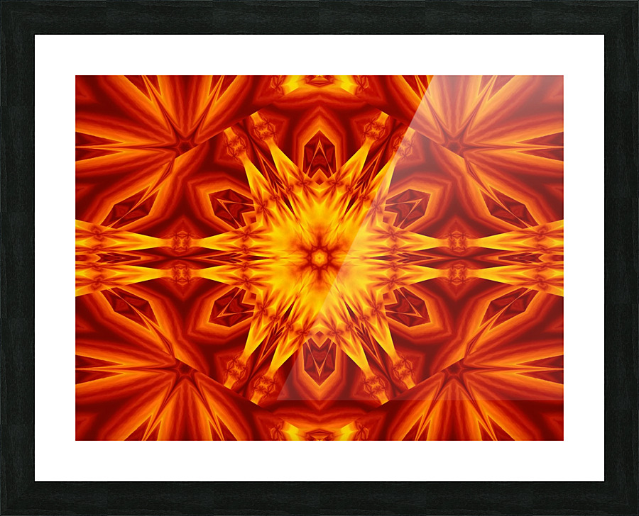 Fire Flowers 36 Picture Frame print