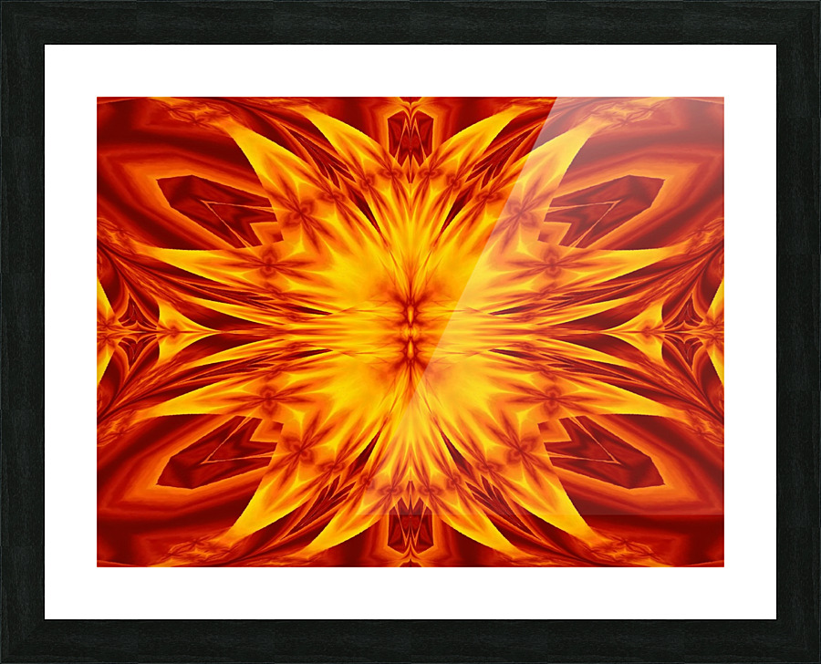 Fire Flowers 38 Picture Frame print