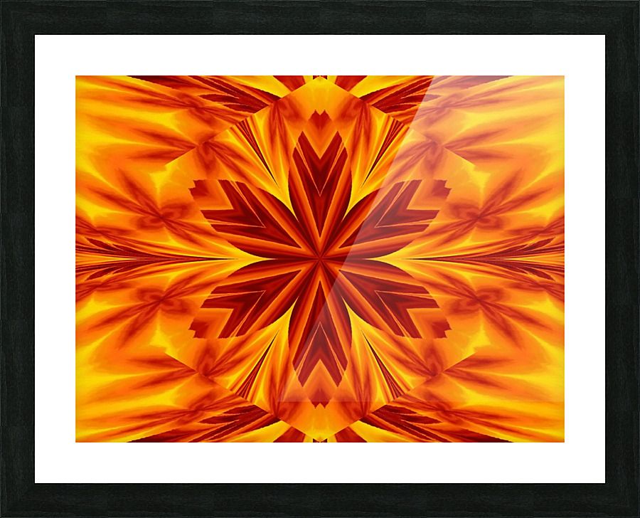 Fire Flowers 39 Picture Frame print