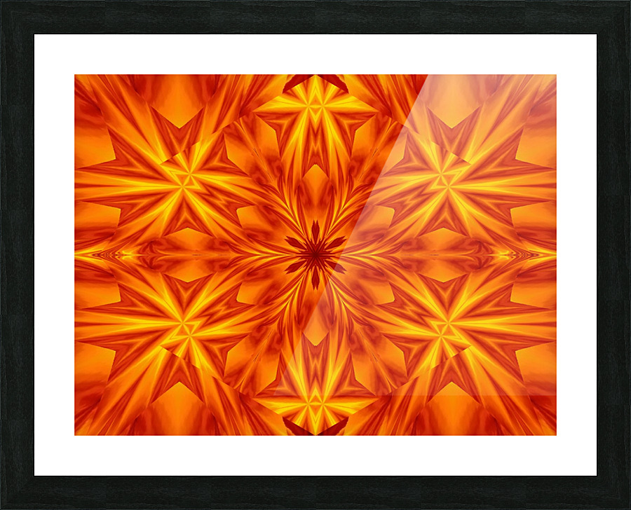 Fire Flowers 40 Picture Frame print