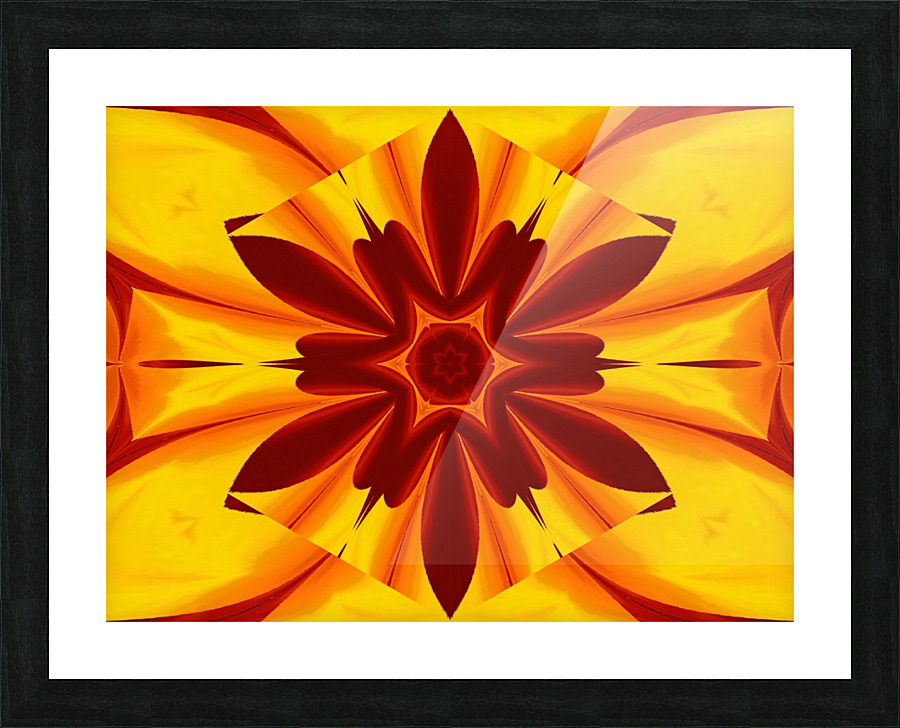 Fire Flowers 47 Picture Frame print