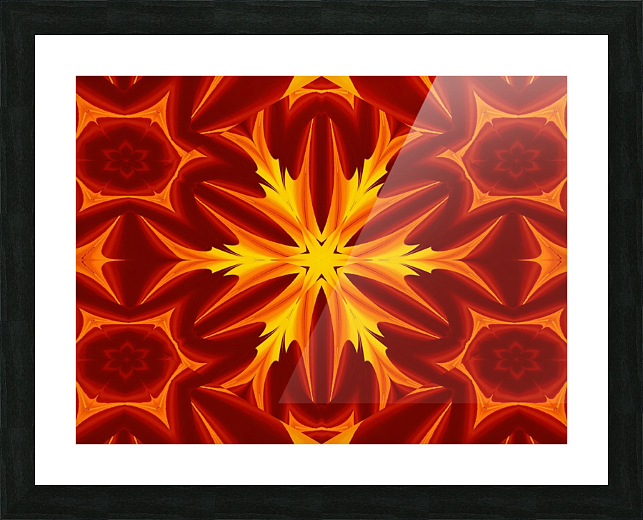 Fire Flowers 48 Picture Frame print
