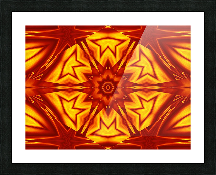 Fire Flowers 51 Picture Frame print