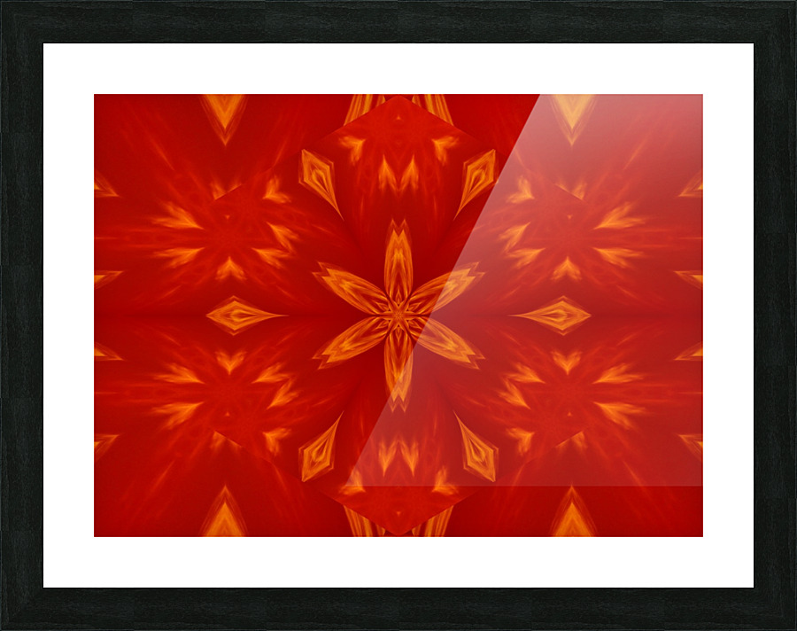 Fire Flowers 60 Picture Frame print