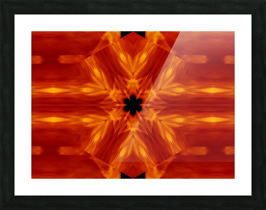 Fire Flowers 62 Picture Frame print