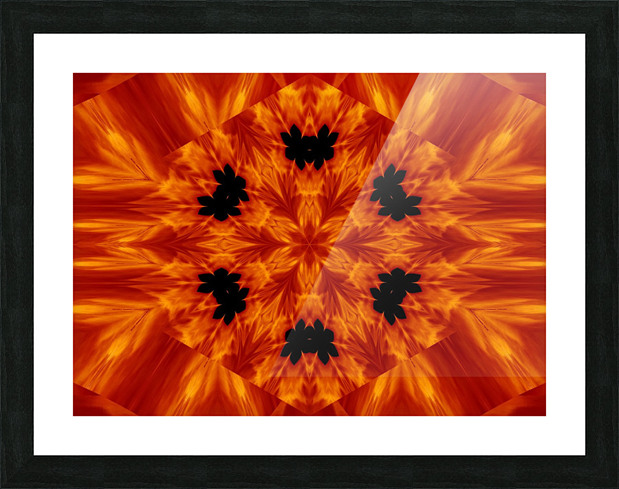 Fire Flowers 63 Picture Frame print
