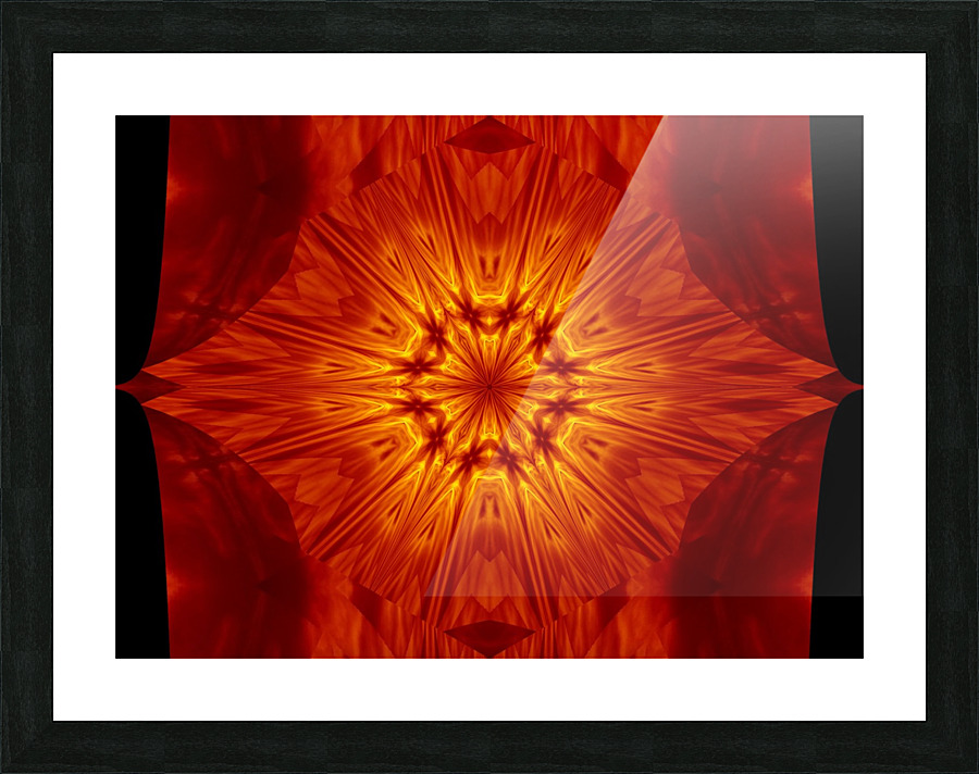 Fire Flowers 65 Picture Frame print