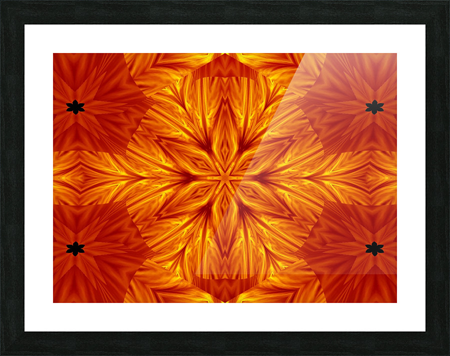 Fire Flowers 67 Picture Frame print