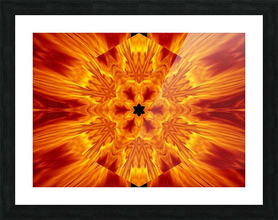 Fire Flowers 68 Picture Frame print