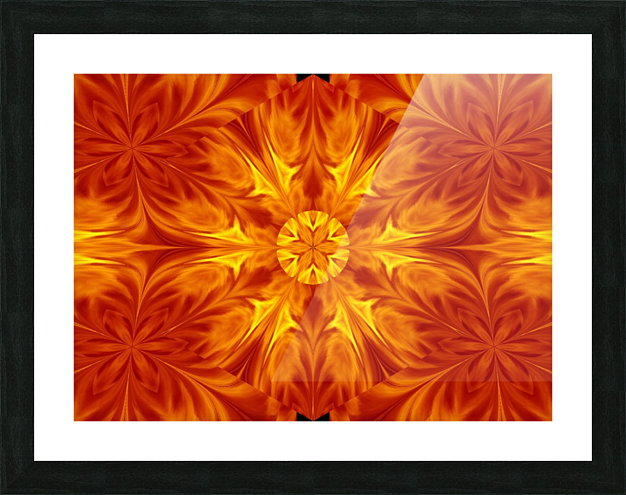 Fire Flowers 69 Picture Frame print
