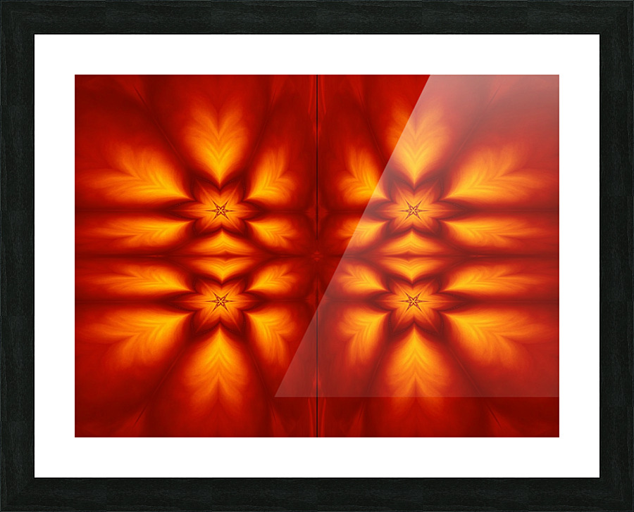 Fire Flowers 71 Picture Frame print