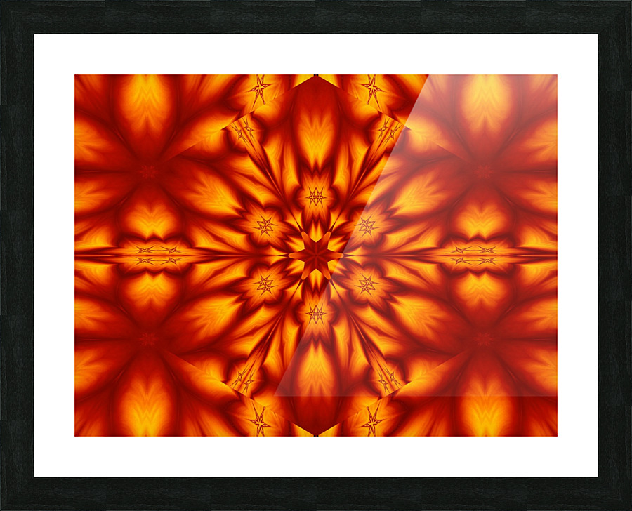 Fire Flowers 73 Picture Frame print