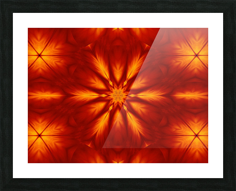 Fire Flowers 75 Picture Frame print