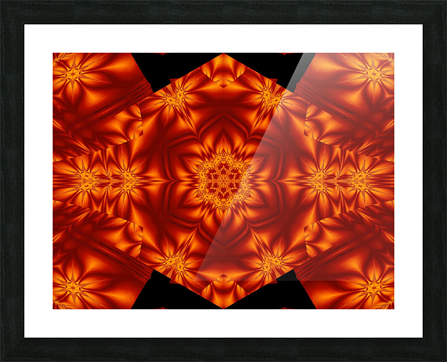 Fire Flowers 79 Picture Frame print