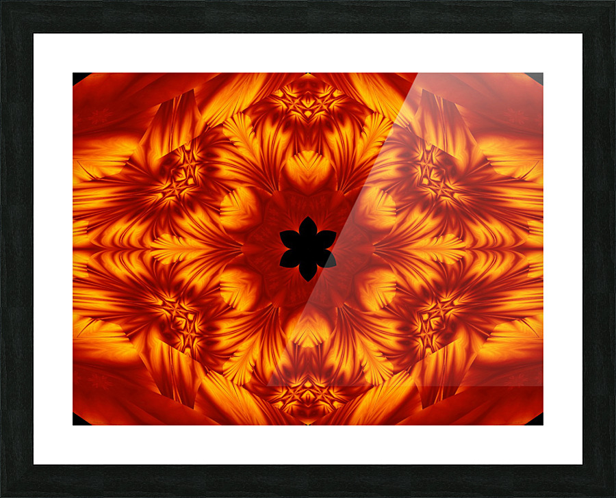 Fire Flowers 81 Picture Frame print