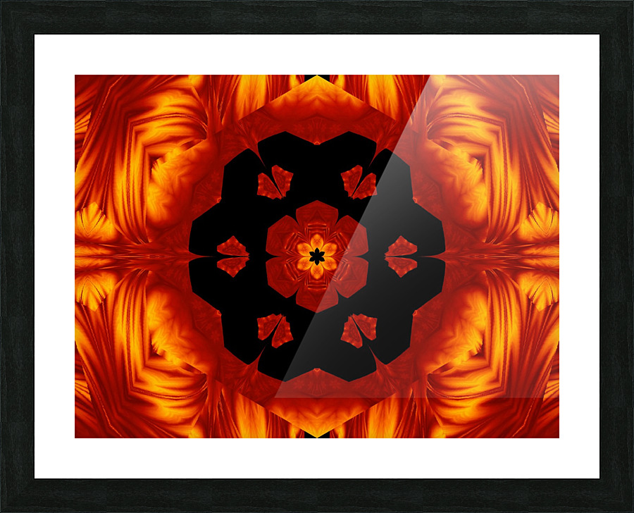 Fire Flowers 82 Picture Frame print