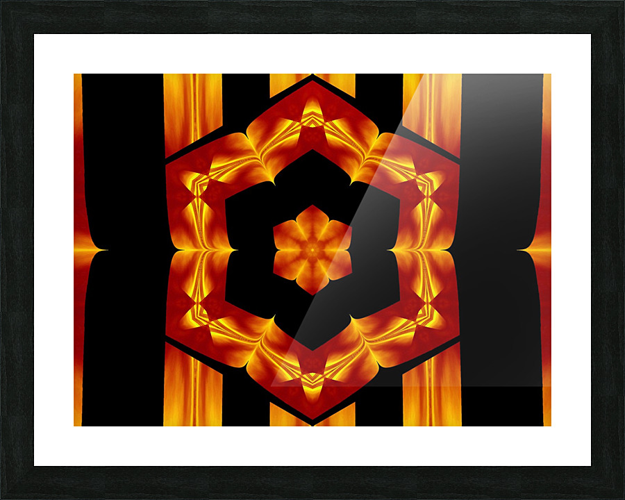 Fire Flowers 90 Picture Frame print
