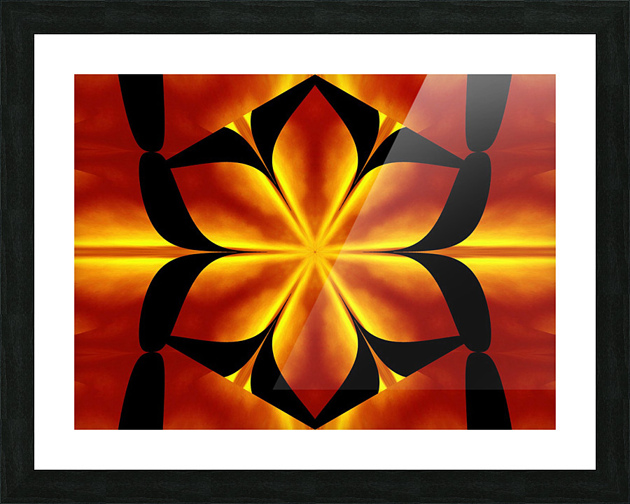Fire Flowers 91 Picture Frame print