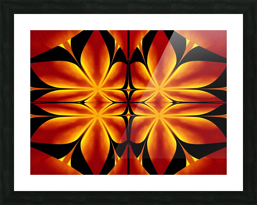 Fire Flowers 92 Picture Frame print