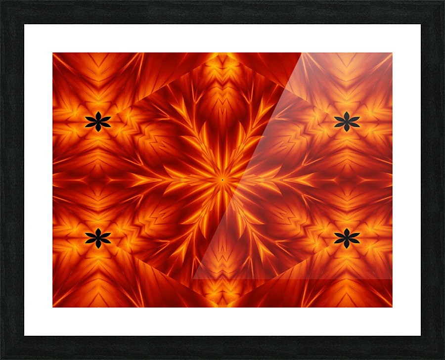 Fire Flowers 96 Picture Frame print