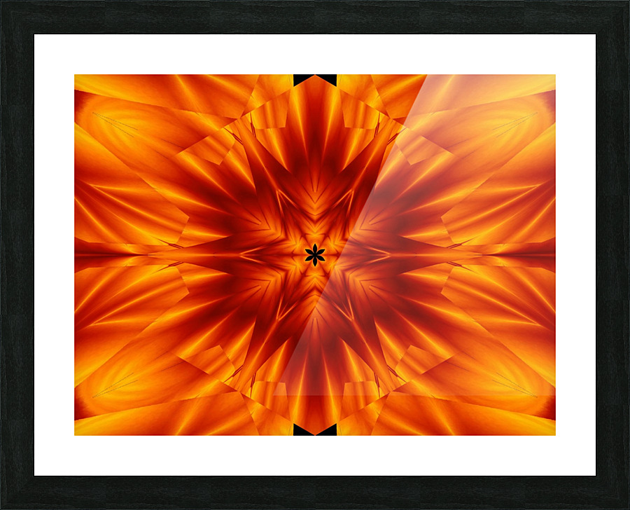 Fire Flowers 97 Picture Frame print