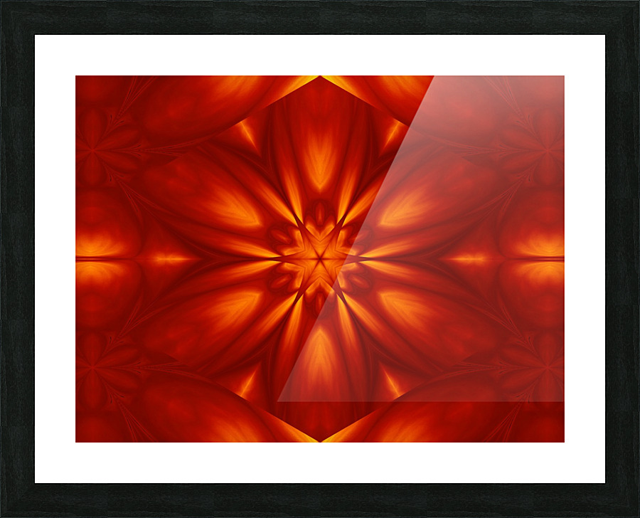 Fire Flowers 101 Picture Frame print