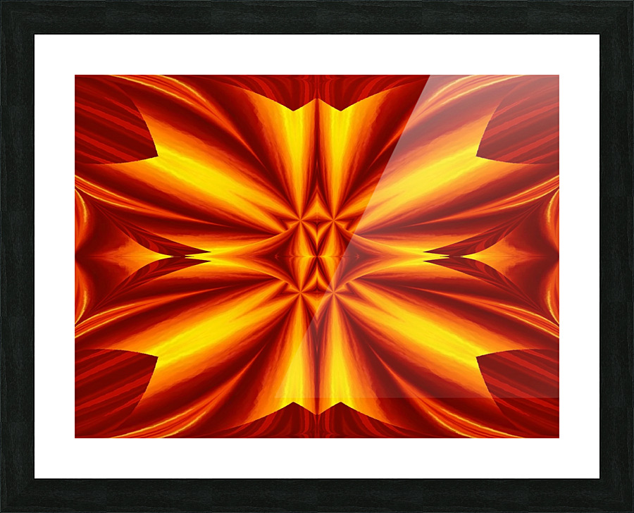 Fire Flowers 102 Picture Frame print