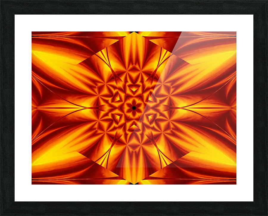 Fire Flowers 104 Picture Frame print