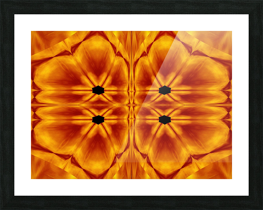 Fire Flowers 114 Picture Frame print