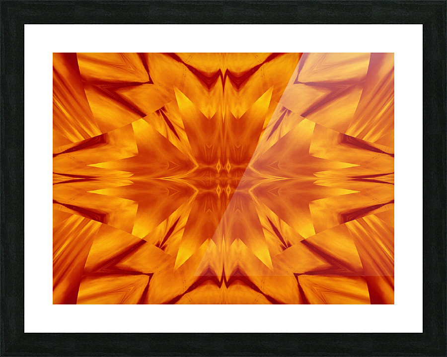 Fire Flowers 116 Picture Frame print