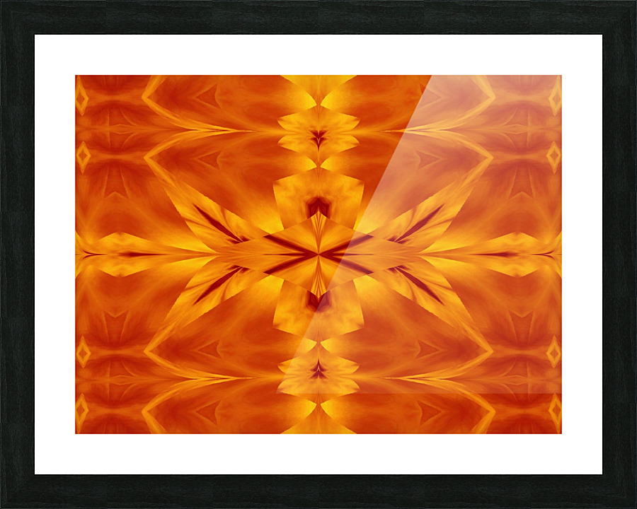 Fire Flowers 117 Picture Frame print