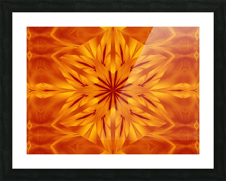 Fire Flowers 118 Picture Frame print