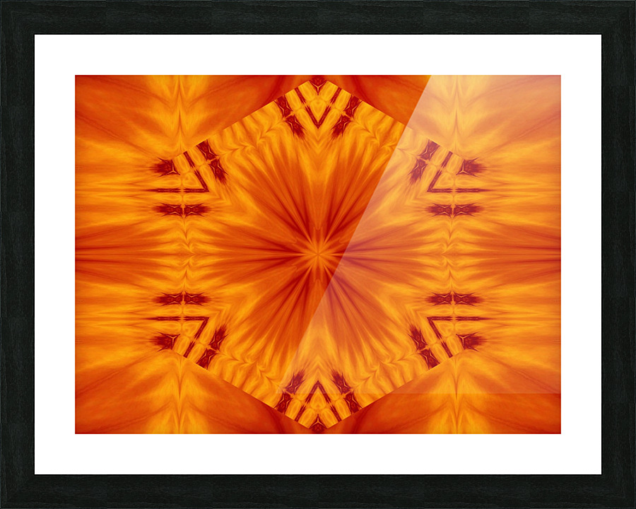Fire Flowers 121 Picture Frame print
