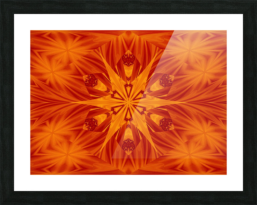 Fire Flowers 122 Picture Frame print