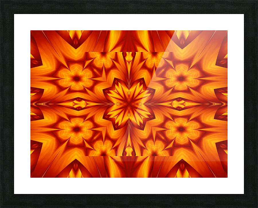 Fire Flowers 127 Picture Frame print