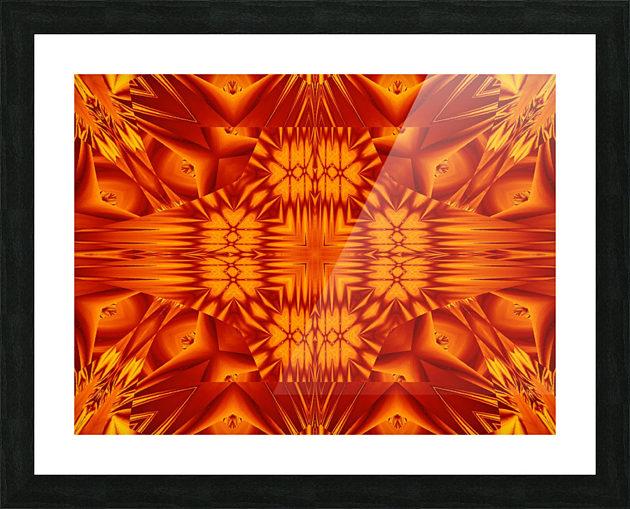 Fire Flowers 134 Picture Frame print