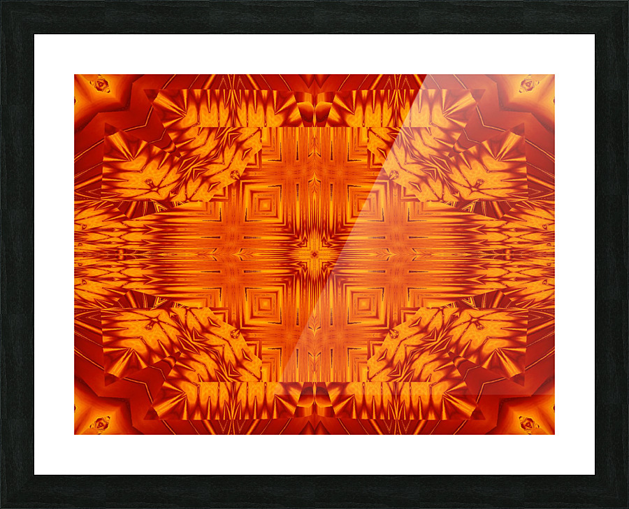Fire Flowers 138 Picture Frame print