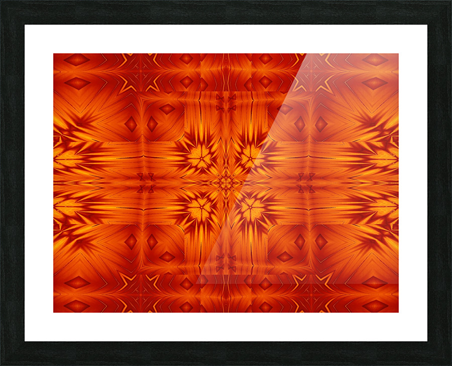 Fire Flowers 140 Picture Frame print