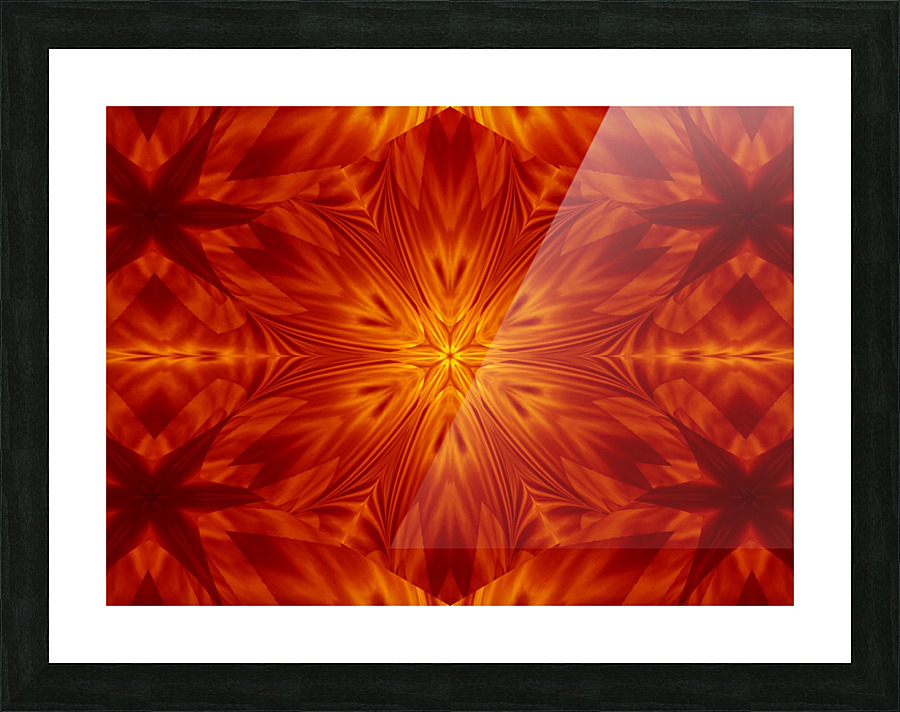 Fire Flowers 142 Picture Frame print
