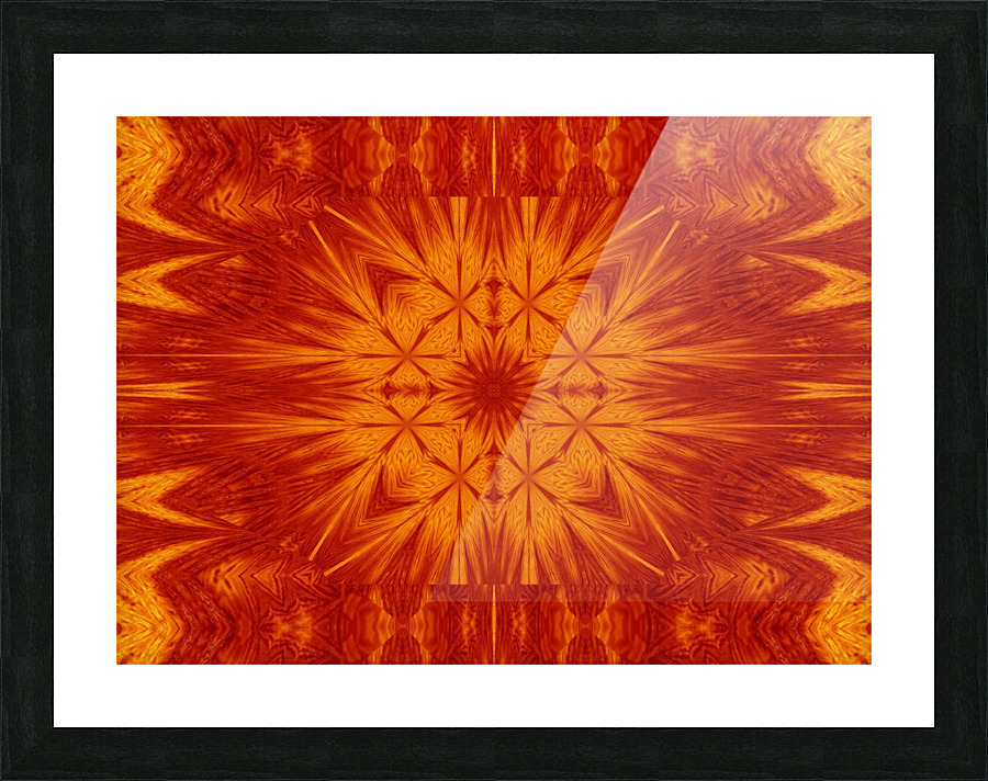 Fire Flowers 169 Picture Frame print