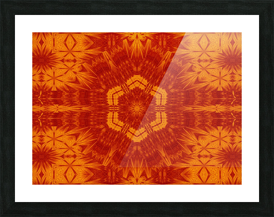 Fire Flowers 172 Picture Frame print