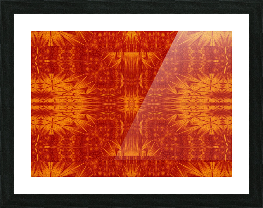 Fire Flowers 173 Picture Frame print