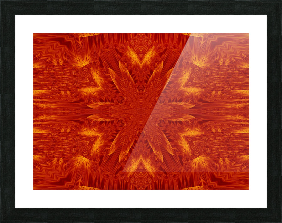 Fire Flowers 174 Picture Frame print