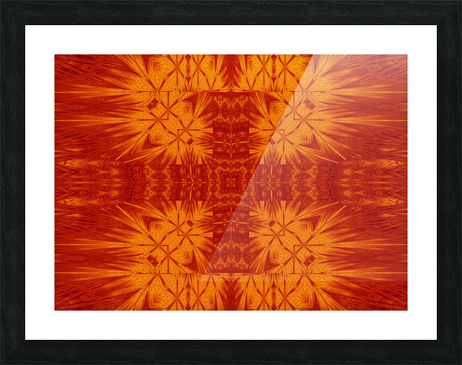 Fire Flowers 179 Picture Frame print