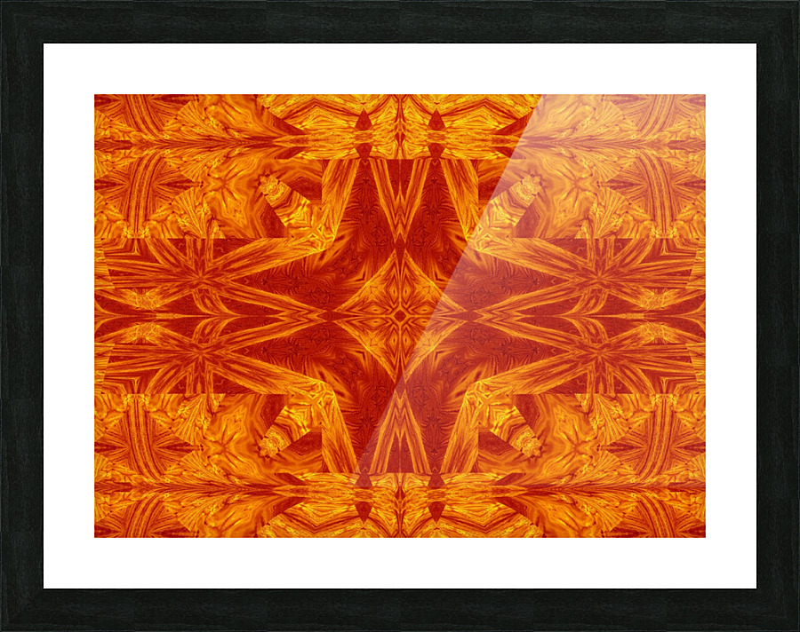 Fire Flowers 181 Picture Frame print