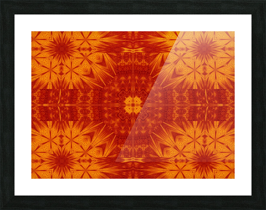Fire Flowers 182 Picture Frame print