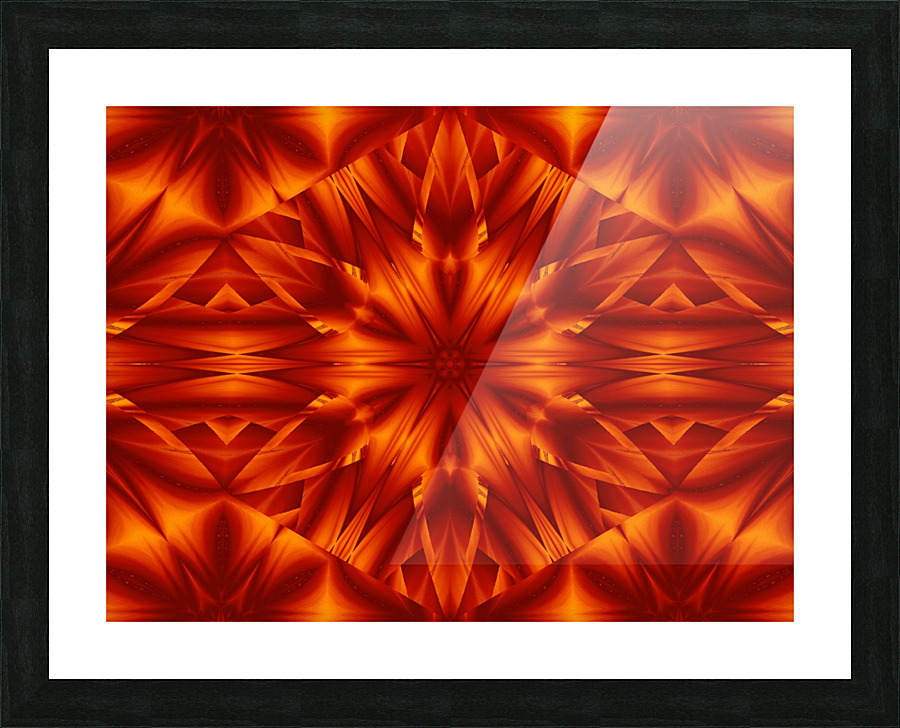 Fire Flowers 185 Picture Frame print