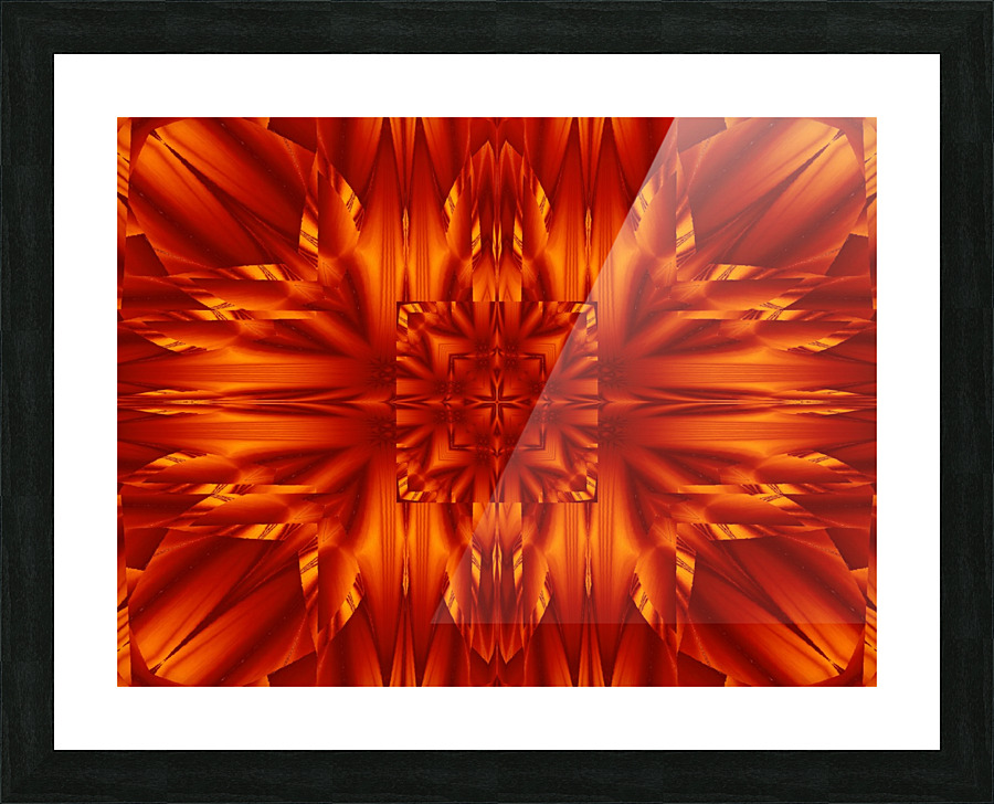 Fire Flowers 190 Picture Frame print